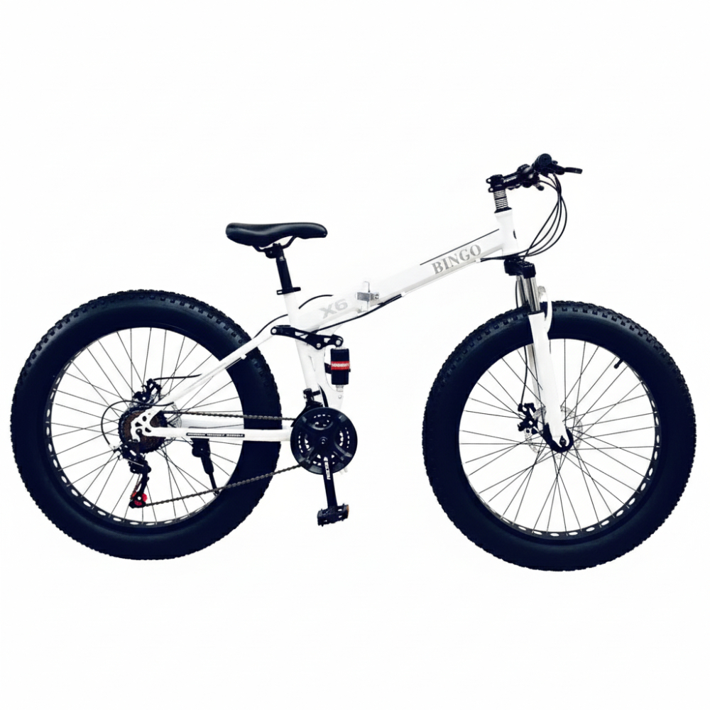 Fat Folding 21 Gear Cycle