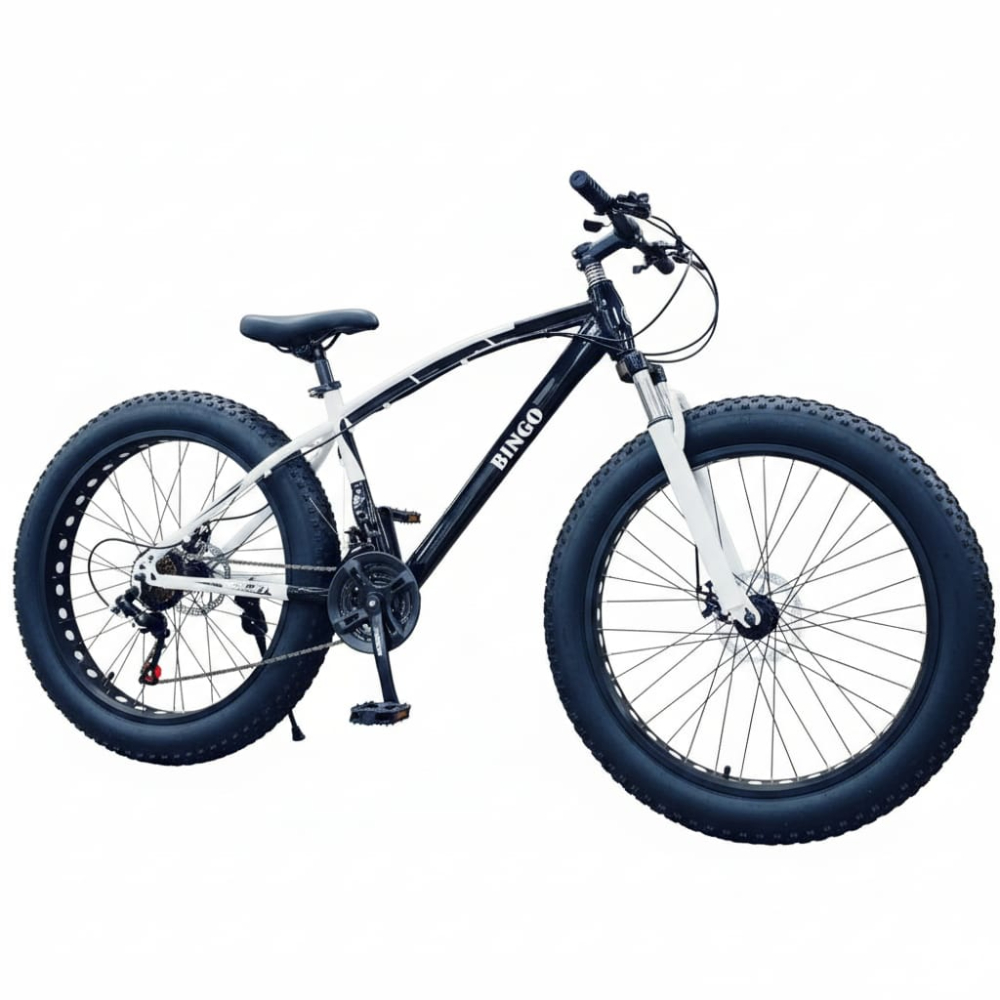 Sleek 21 Gears Fat Tyre Cycle