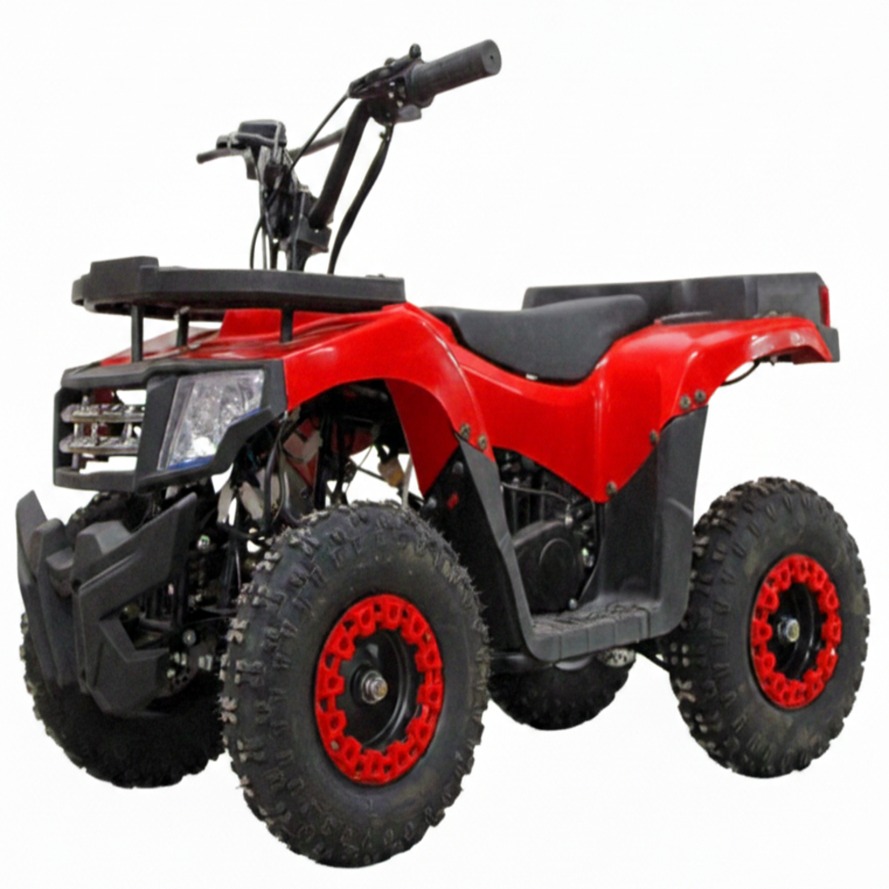 50cc Mini Mouzer Atv